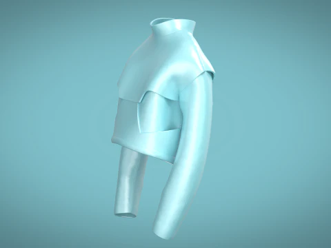 Men Giant Jacket 3D Model