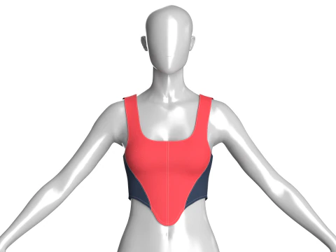 Upcycled Corset Tops 3D Model