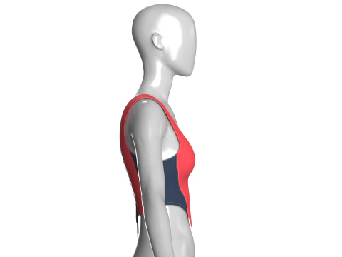 Upcycled Corset Tops 3D Model