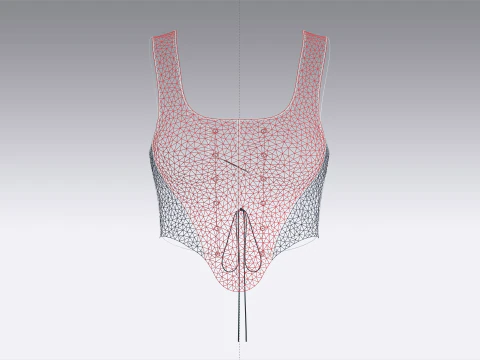 Upcycled Corset Tops 3D Model