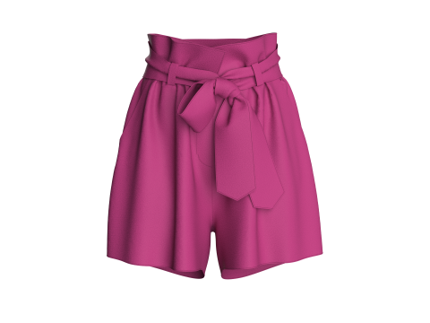 Women Stylish Waist Shorts 3D 模型