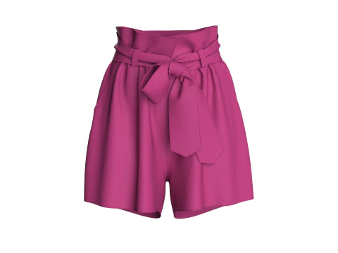 Женские стильные шорты на талии 3D Модель