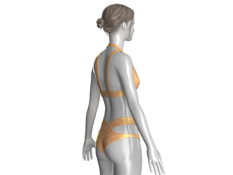 Girls Bikini - Summer Print 3Dモデル