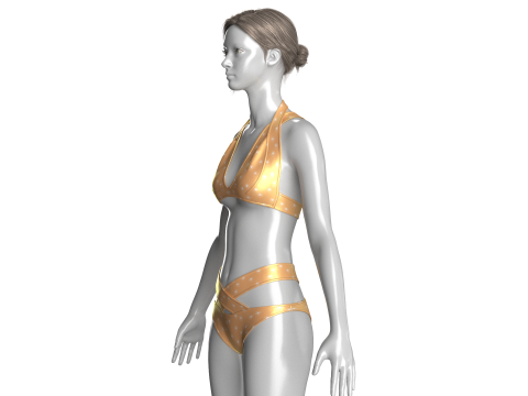 Girls Bikini - Summer Print 3Dモデル