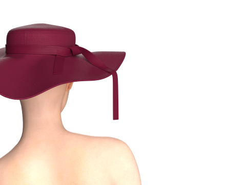 Girls Hat 3D Модель