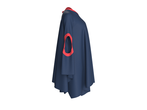 Ladies Blue And Red Cope Tops Modelo 3D