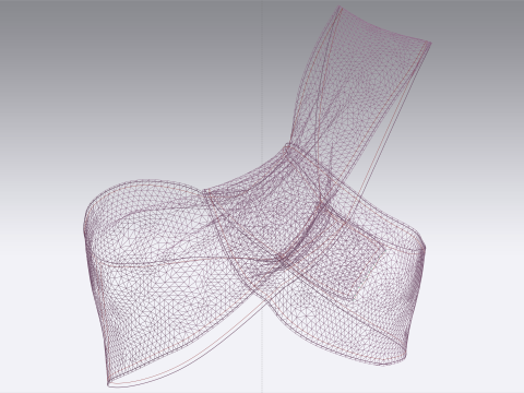 Girls Fashion Bra Tops V2 3Dモデル