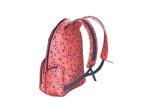 Printed School Bag 3D Model