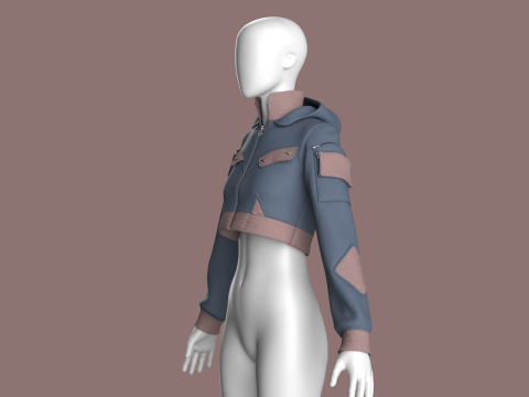 Girls Crop Hooded Jacket 3D Model