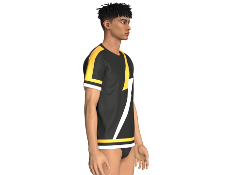 Heren 3 ton kleur t-shirt 3D Model