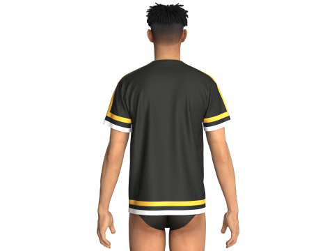 Heren 3 ton kleur t-shirt 3D Model