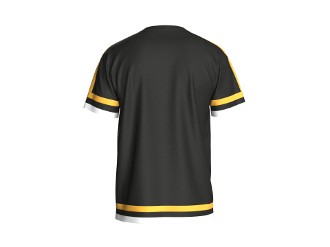 Heren 3 ton kleur t-shirt 3D Model