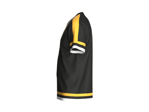 Heren 3 ton kleur t-shirt 3D Model