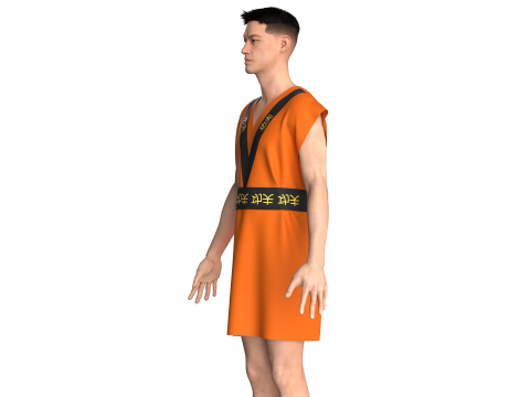 Men kung Fu Dress 3D Model
