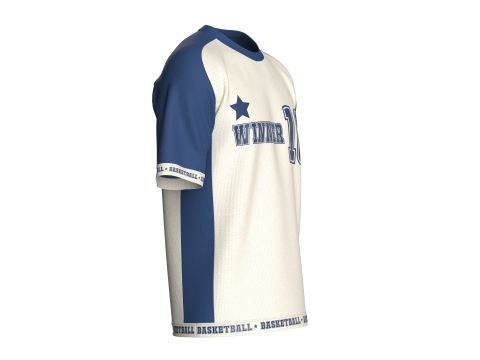 Camiseta masculina vencedora do basquete - Mesh V3 Modelo 3D