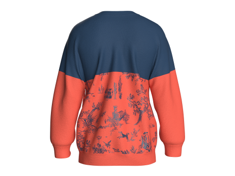 Sudadera Estampada Hombre - GOALS SET Modelo 3D