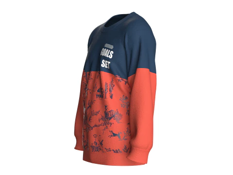 Men Printed Sweatshirt - GOALS SET 3D Model