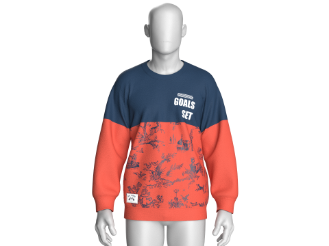 Sudadera Estampada Hombre - GOALS SET Modelo 3D