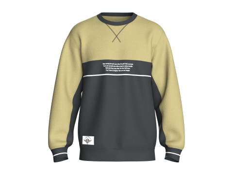 Men Printed Sweatshirt - Motivational 3D Model