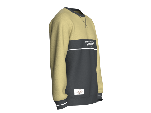 Men Printed Sweatshirt - Motivational 3D Model