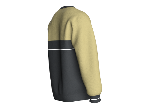 Men Printed Sweatshirt - Motivational 3D Model