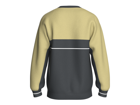 Men Printed Sweatshirt - Motivational 3D Model