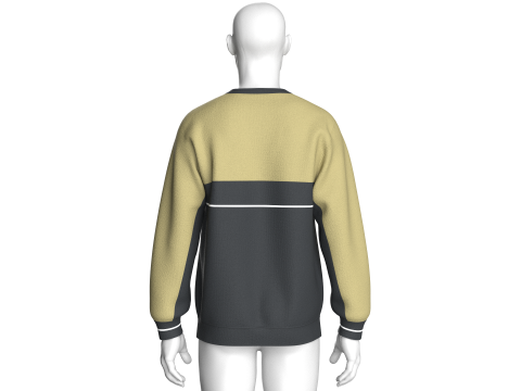 Men Printed Sweatshirt - Motivational 3D Model