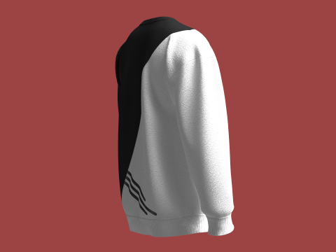 Men Printed Sweatshirt With Patch 3D Model