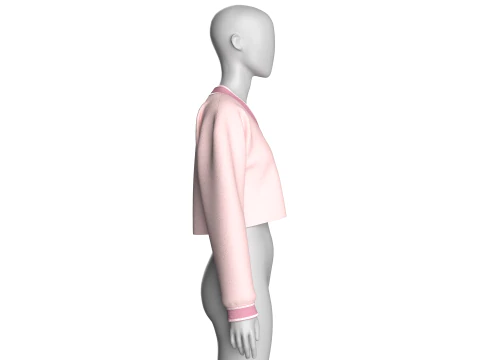 Girls Cropped Sweatshirt V2 3D Model