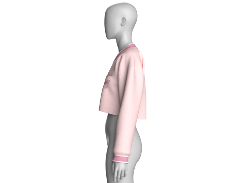 Укороченный свитшот для девочек V2 3D Модель