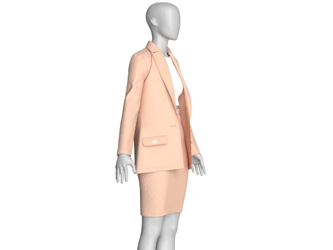 Girls Corporate Code And Skirt Outfit 3D Model