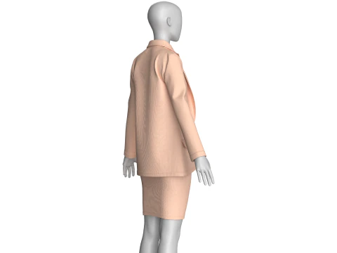 Girls Corporate Code And Skirt Outfit 3D Model