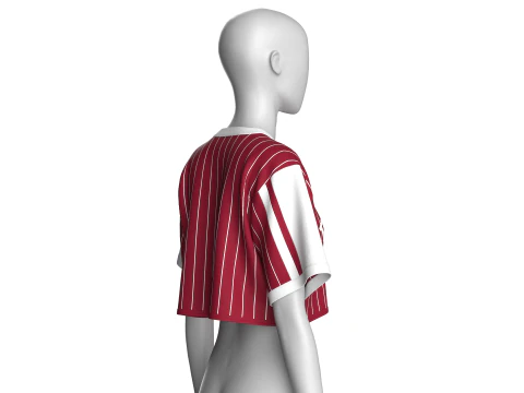 Girls Striped Printed Crop Top - PURE LOVE 3D Model