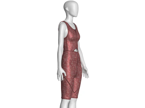 Ladies Bodysuit With Short Pant 3D Model