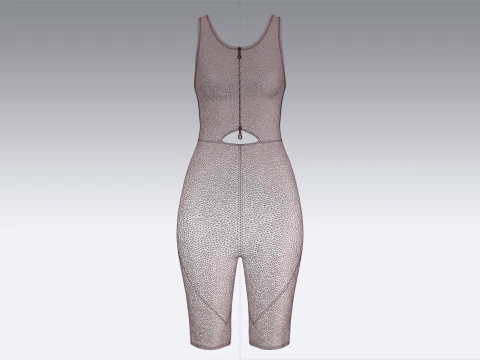 Ladies Bodysuit With Short Pant 3D Model