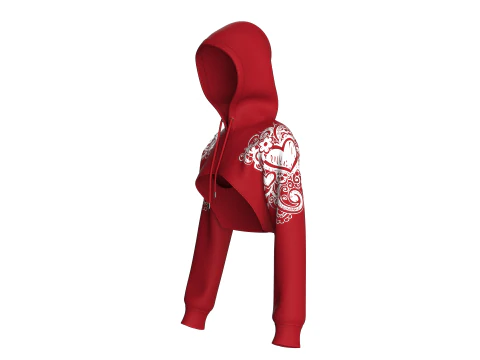 Girls Printed Crop Hoodie With Mesh 3D Model