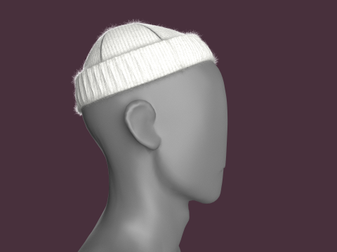 Winter Head Rib Cap 3D Model