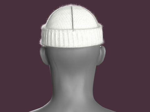 Winter Head Rib Cap 3D Model