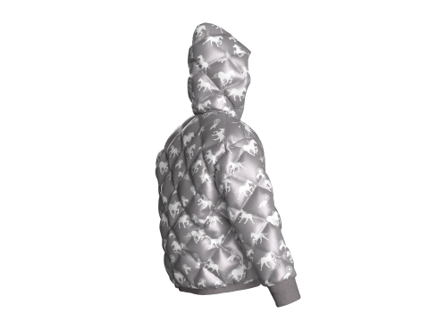 Men Winter Printed Hooded Puffer Jacket 3D Model