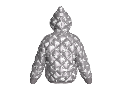 Men Winter Printed Hooded Puffer Jacket 3D Model
