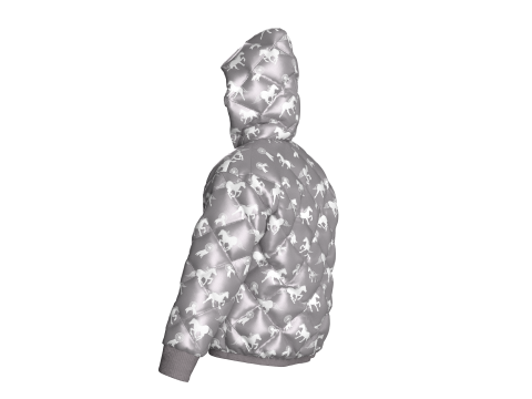 Men Winter Printed Hooded Puffer Jacket 3D Model