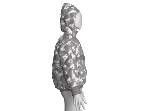 Men Winter Printed Hooded Puffer Jacket 3D Model
