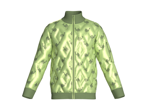 Giacca imbottita stampata invernale da uomo alla moda Modello 3D