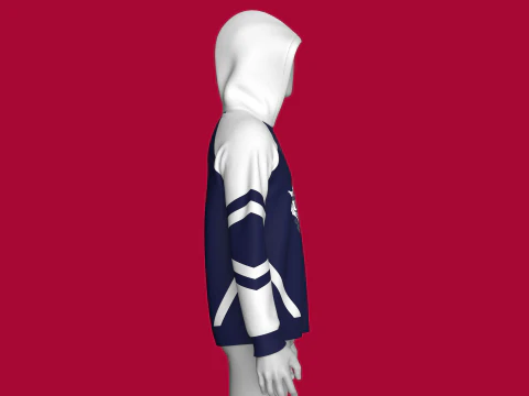 Men 2 Ton Printed Raglan Hoodie 3D Model
