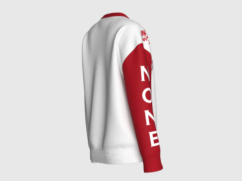 Girls Long Neck Printed Sweatshirt - NONE 3D Model