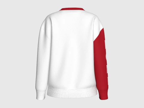 Girls Long Neck Printed Sweatshirt - NONE 3D Model