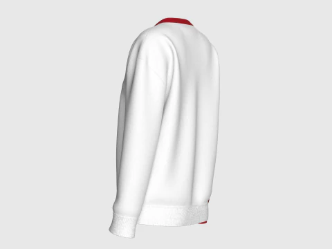Girls Long Neck Printed Sweatshirt - NONE 3D Model
