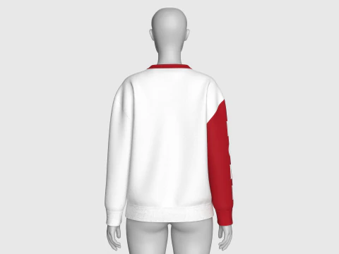 Girls Long Neck Printed Sweatshirt - NONE 3D Model