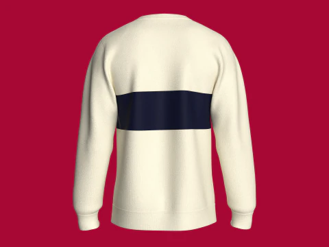 Men Printed Sweatshirt With Patch - EST 1890 3D Model