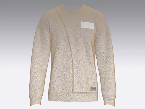 Men Printed Sweatshirt with Patch - BOARDING 3D Model